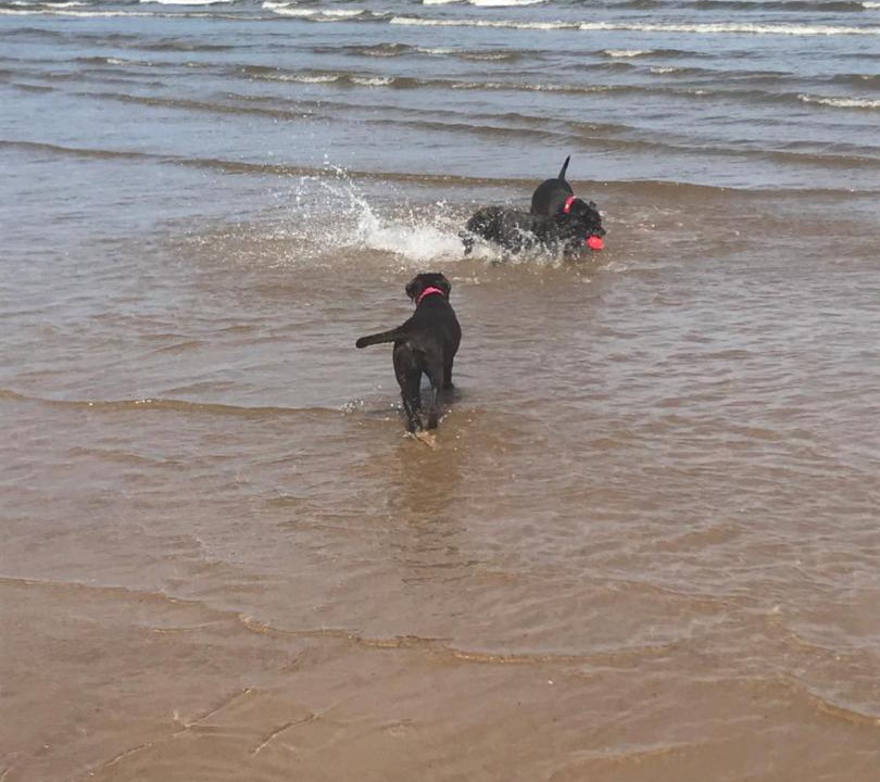 Photo of Others in Mablethorpe