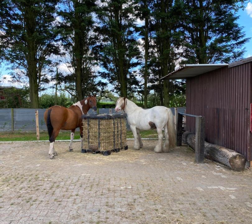 Photo of Buildings in Grijpskerke