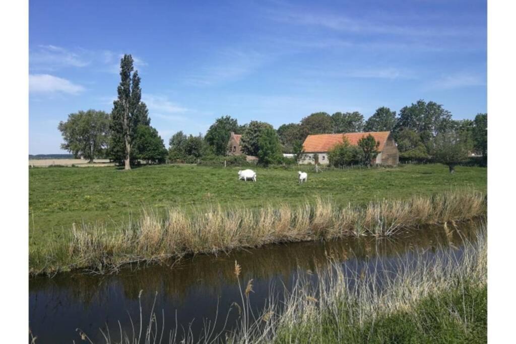Photo of Others in Scherpbier