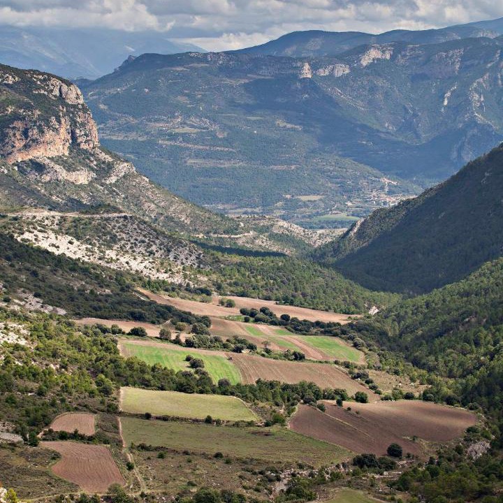 Photo of Others in Coll de Nargo