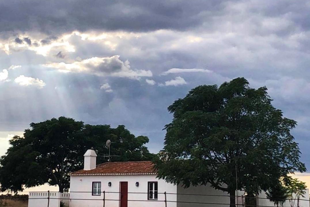 Photo of Buildings in Alter do Chao