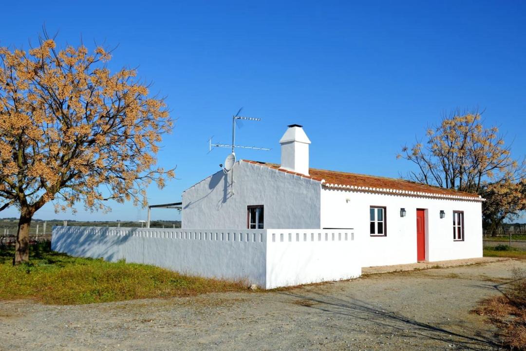 Photo of Buildings in Alter do Chao