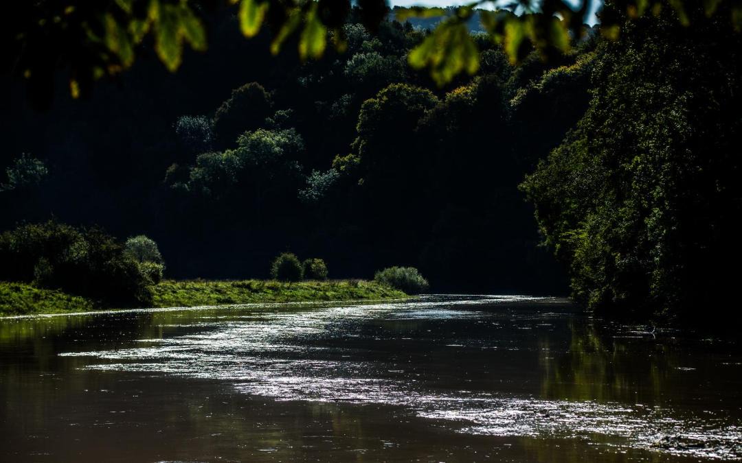 Photo of Others in Tintern