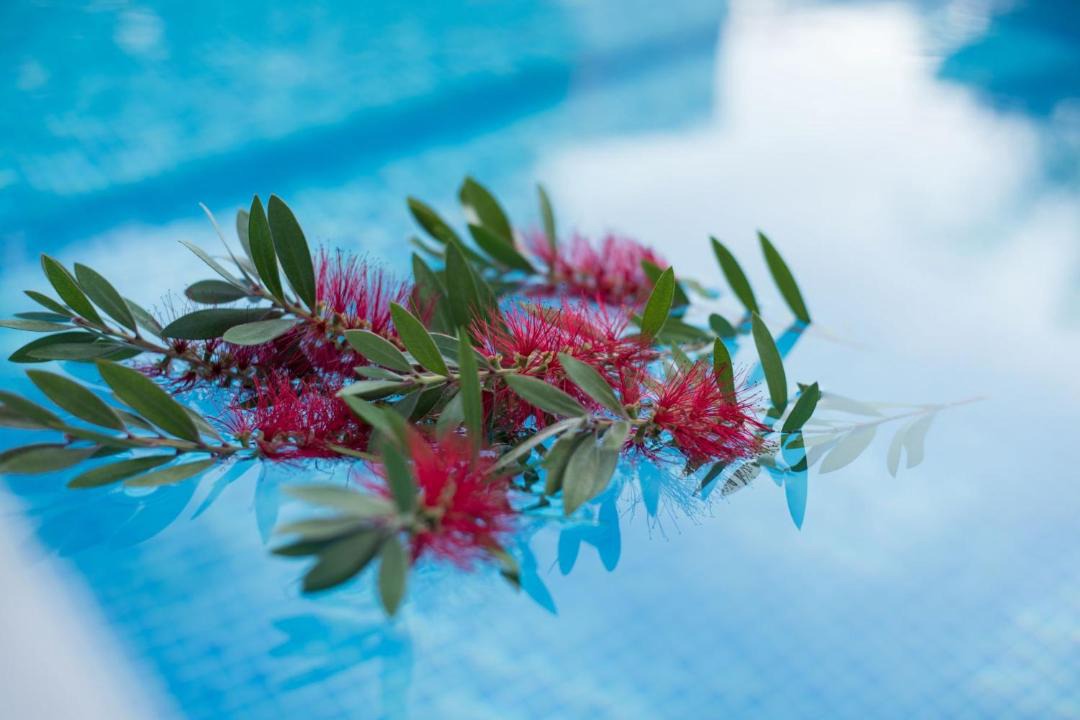 Photo of Outdoor in Protaras