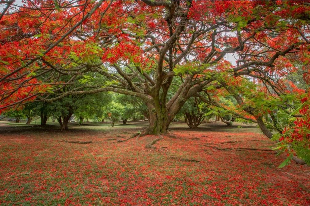 Photo of Outdoor in Sao Jorge
