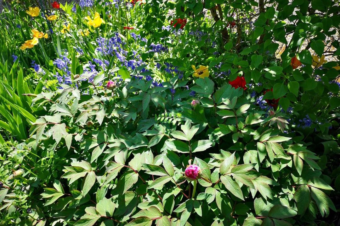 Photo of Outdoor in Malain