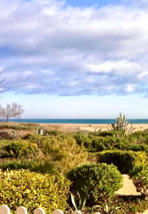 Photo of Others in Port Leucate