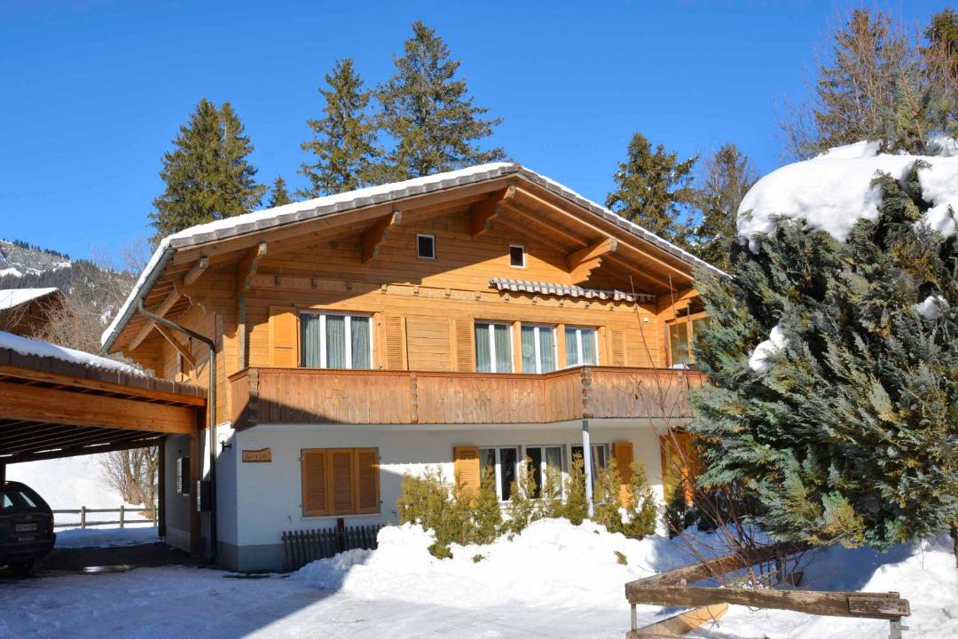 Photo of Others in Adelboden