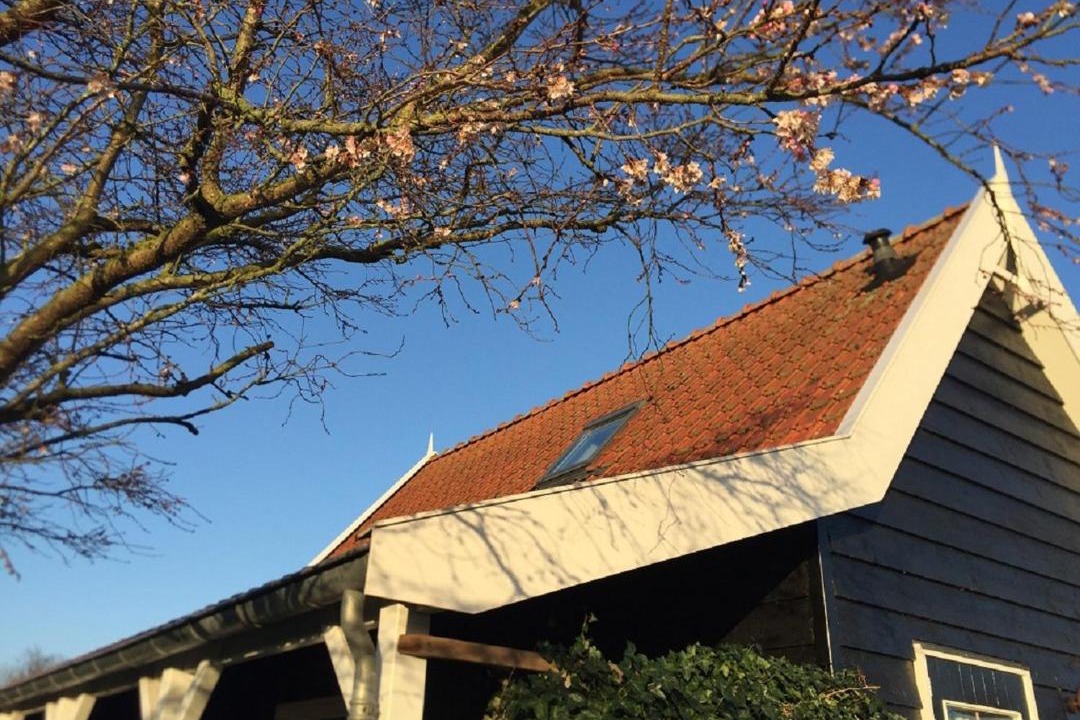 Photo of Buildings in Sint Maartensdijk