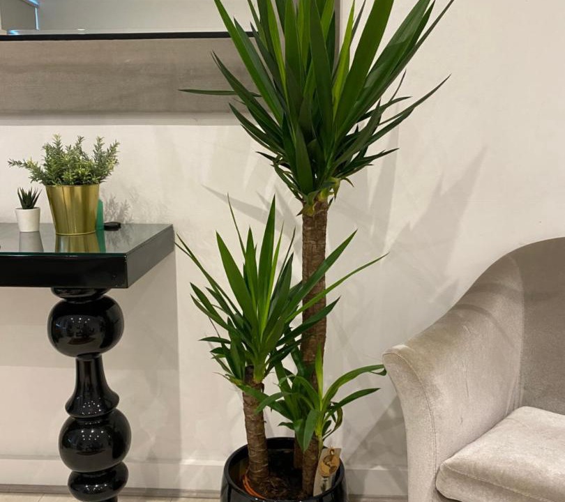 Photo of Livingroom in Parsons Green and Walham