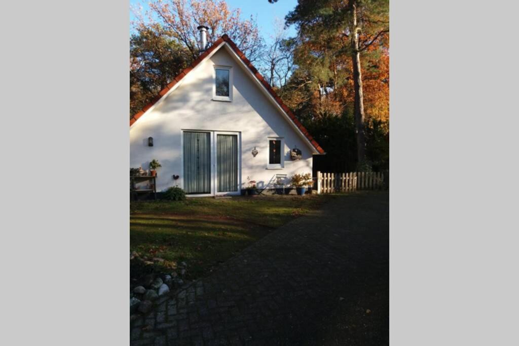 Photo of Buildings in Zuidwolde