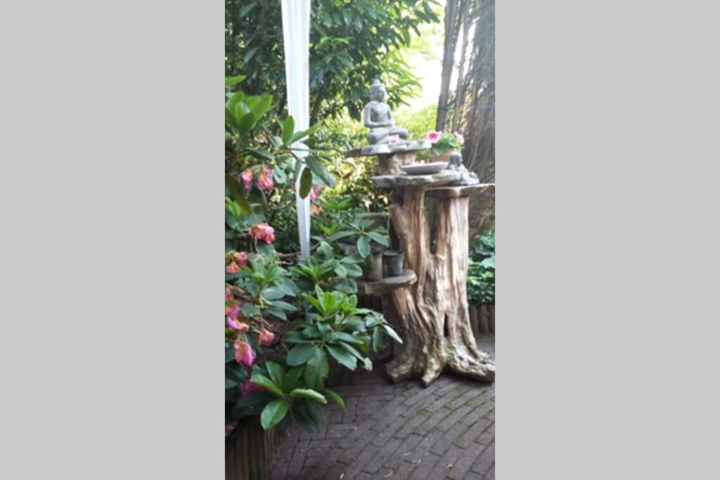 Photo of Others in Zuidwolde