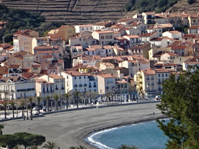 Photo of Others in Banyuls-sur-Mer