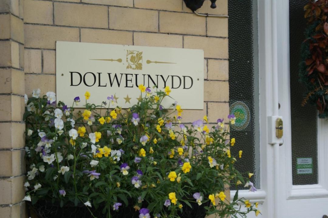Photo of Others in Gwynedd- Snowdonia