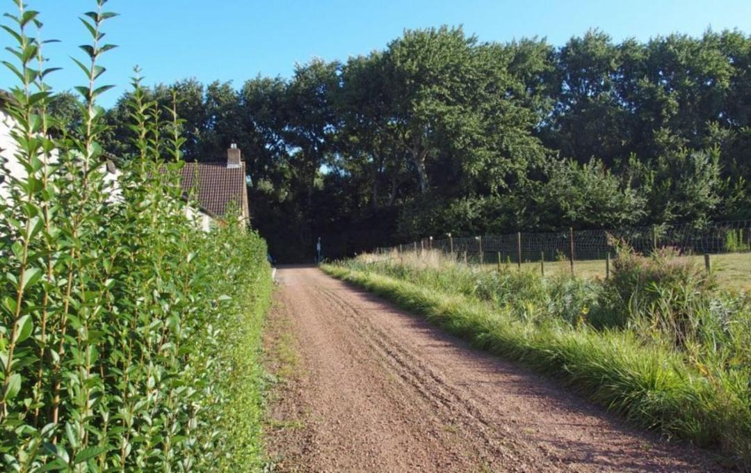 Photo of Outdoor in Oostkapelle