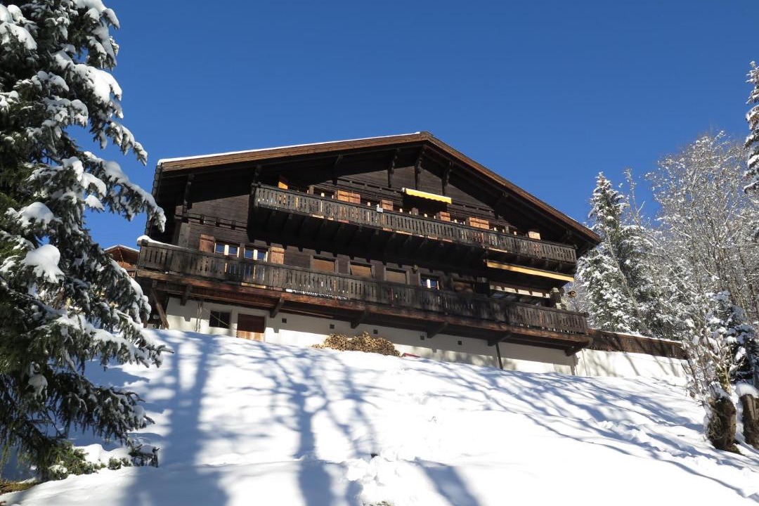 Photo of Others in Ormont-Dessus