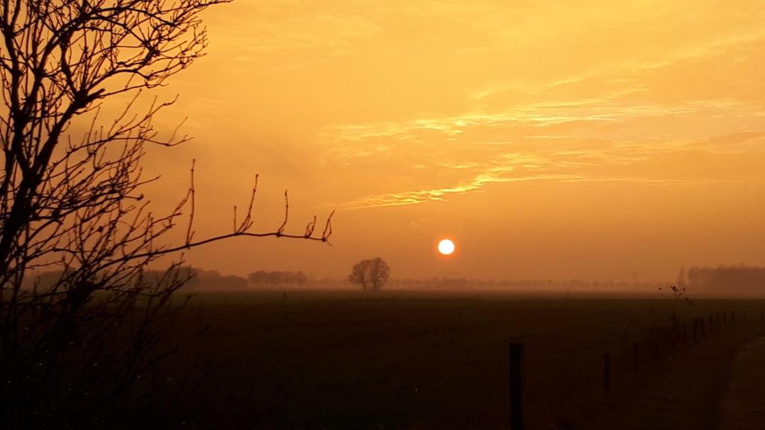 Photo of Others in Lierderholthuis