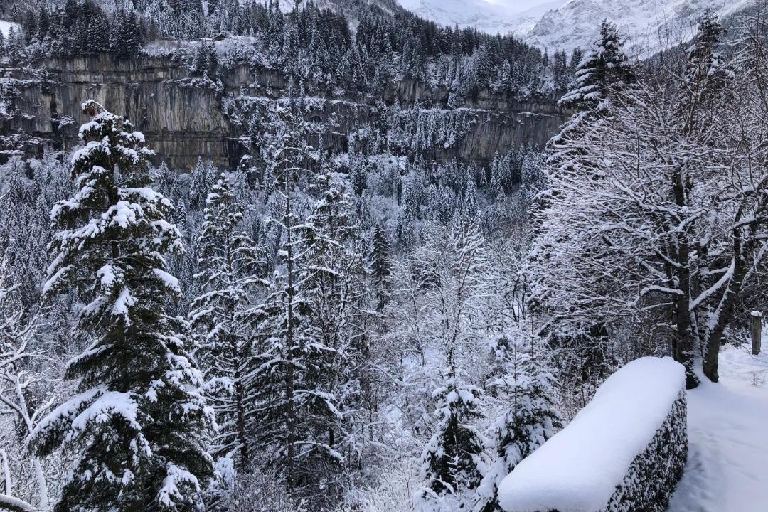 Photo of Others in Champery