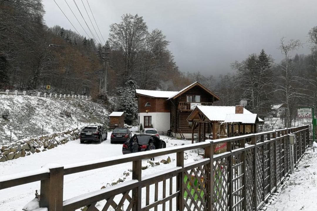 Photo of Others in Cartisoara