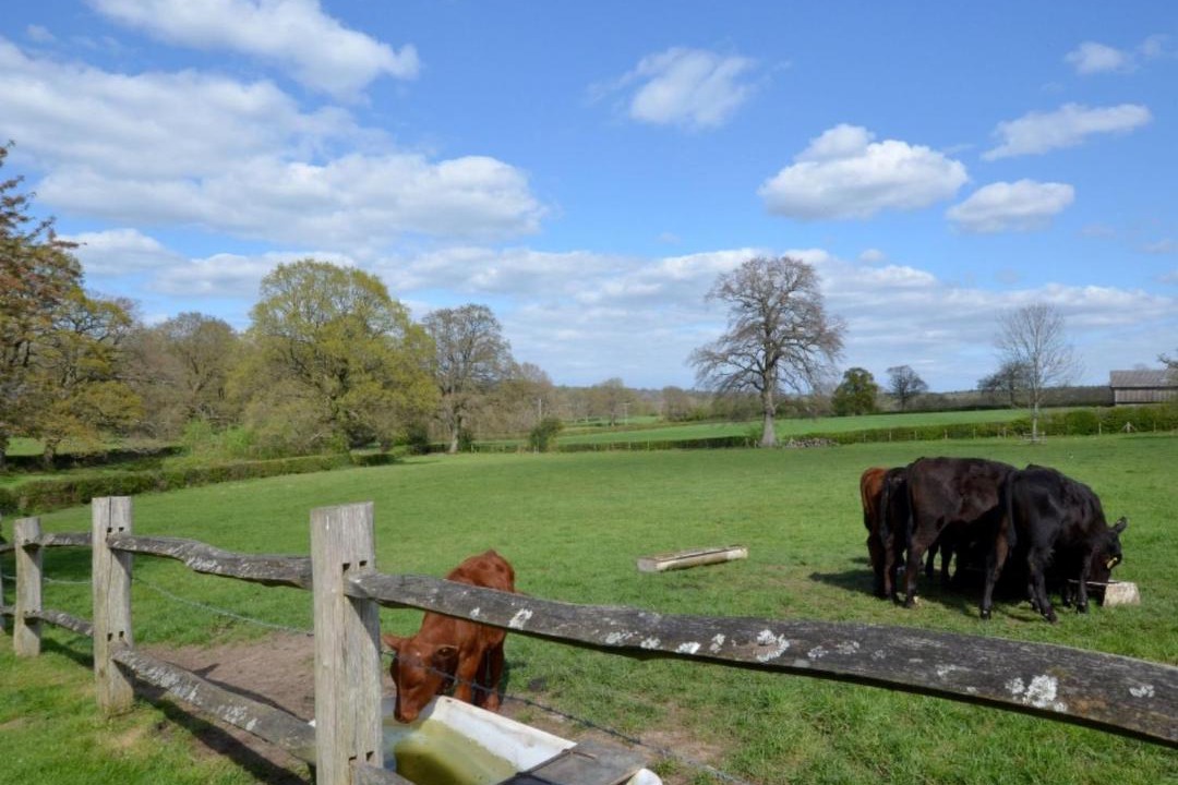 Photo of Others in Langton Green