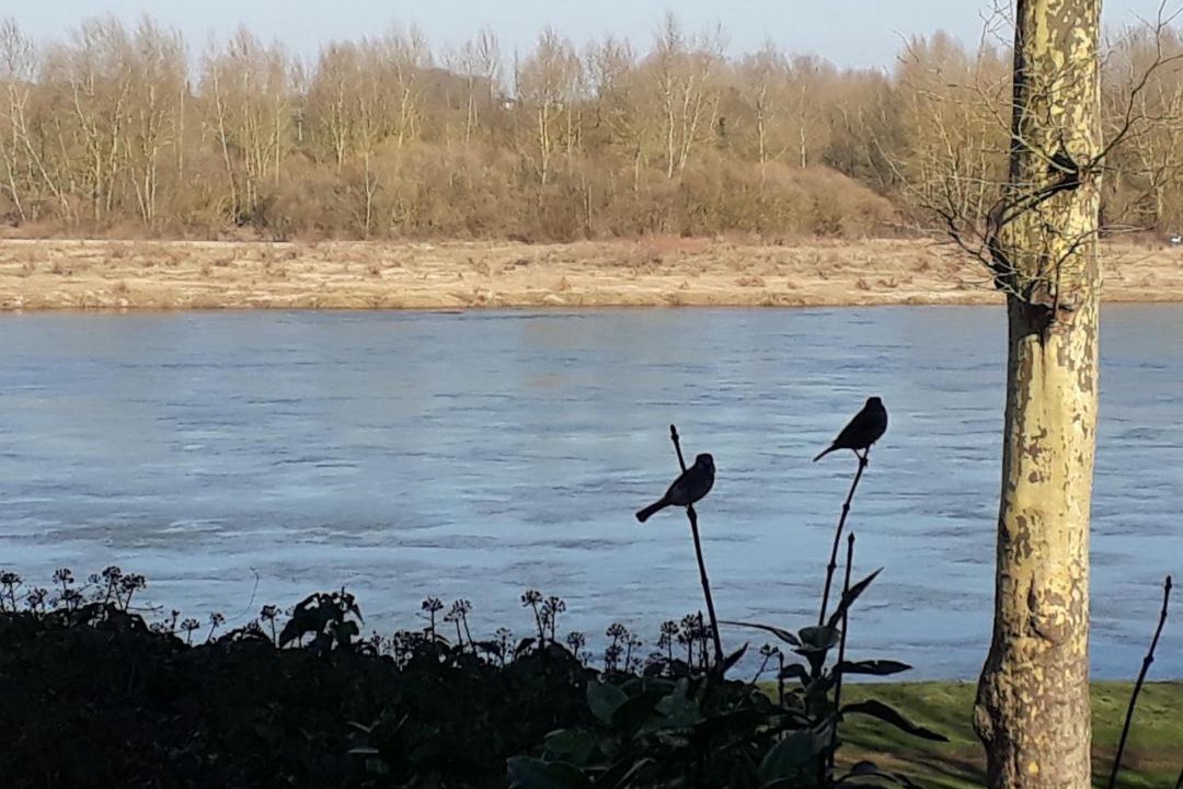 Photo of Others in Saint-Dye-sur-Loire