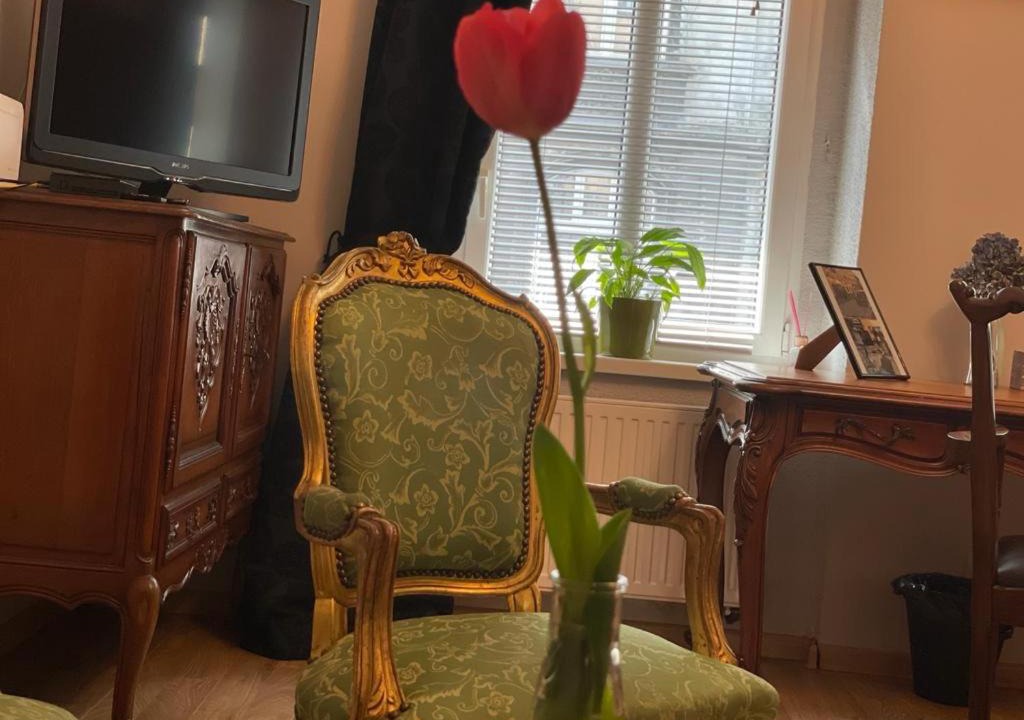 Photo of Livingroom in Chorzow