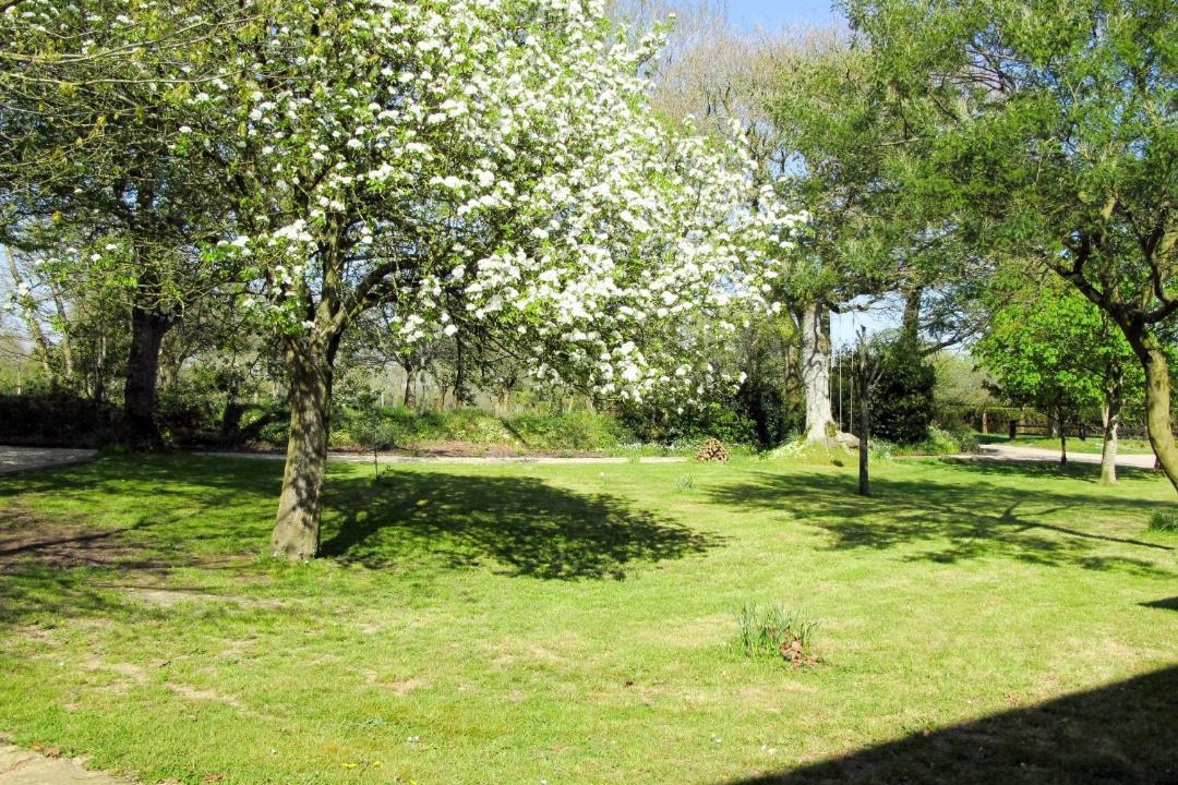 Photo of Others in Saint-Sauveur-le-Vicomte