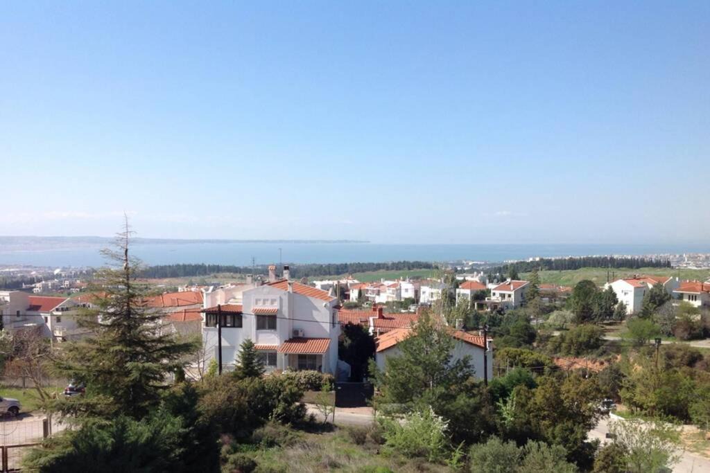 Photo of Others in Panorama