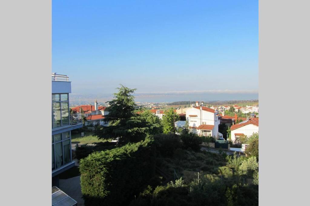 Photo of Others in Panorama