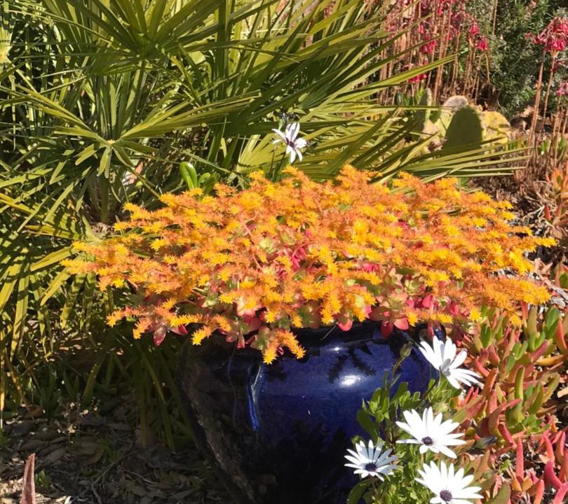 Photo of Outdoor in Antheor