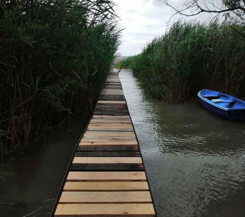 Photo of Others in Balatonmariafurdo