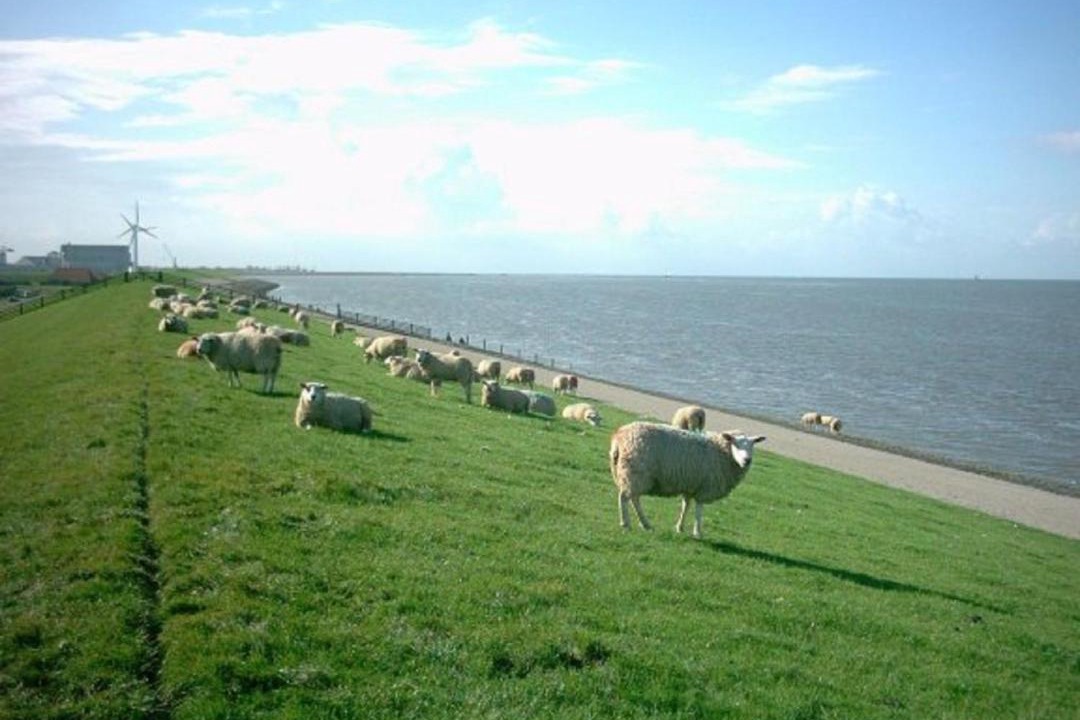 Photo of Outdoor in Tzummarum