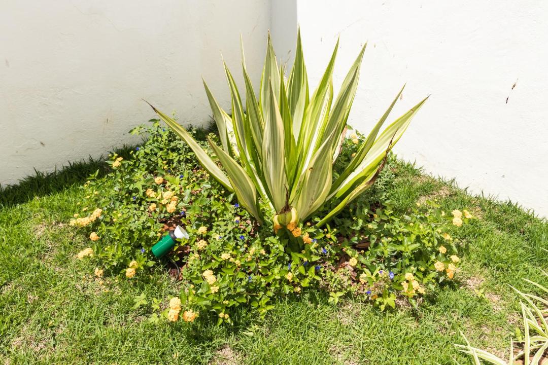 Photo of Others in Cabo Frio