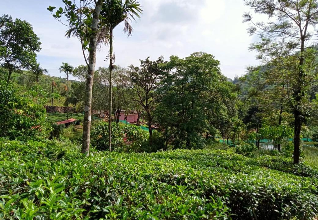 Photo of Outdoor in Elappara