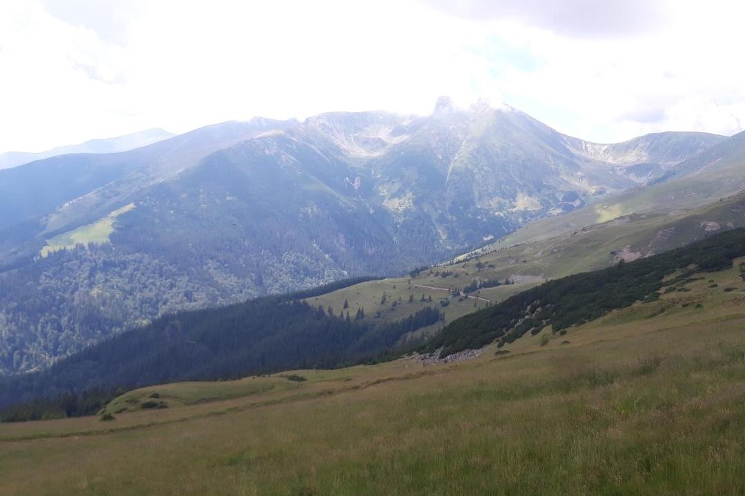 Photo of Others in Ranca