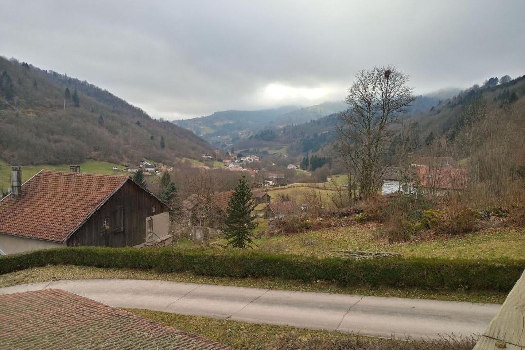 Photo of Others in Travexin