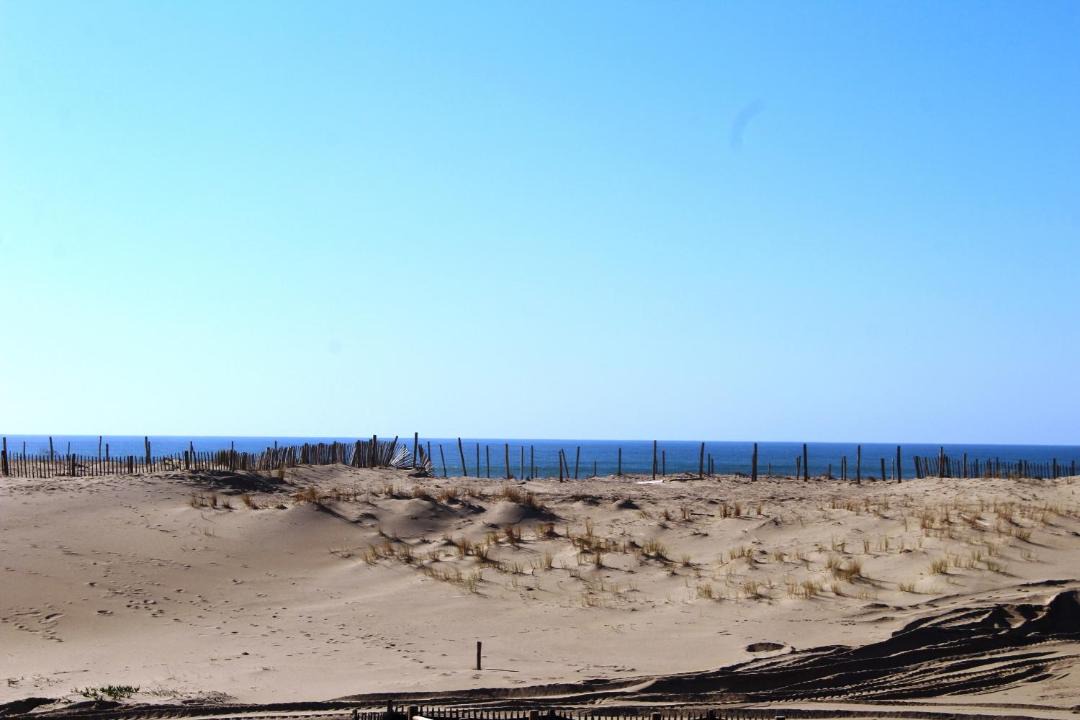 Photo of Others in Biscarrosse Plage