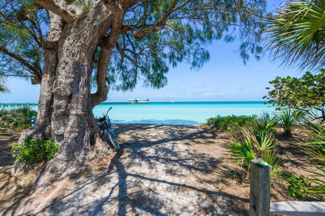 Photo of Outdoor in Anna Maria