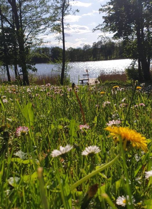 Photo of Outdoor in Piecki