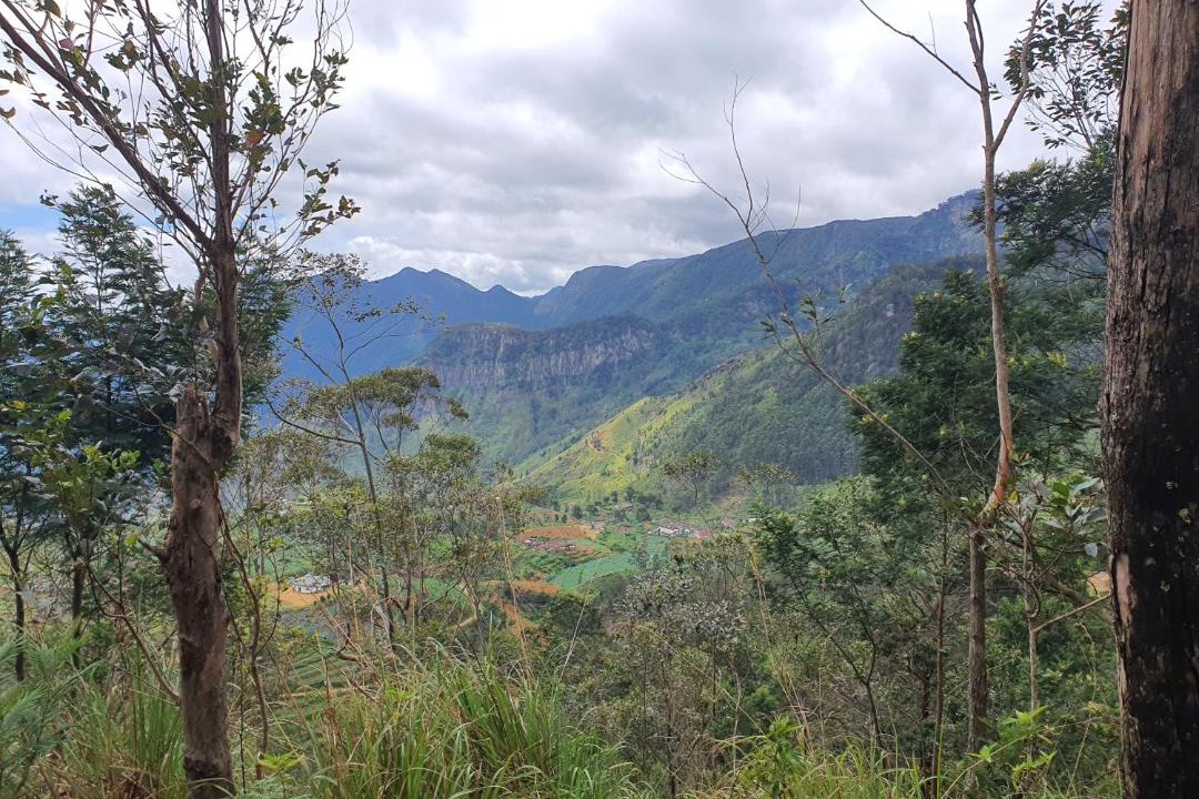 Photo of Outdoor in Welimada