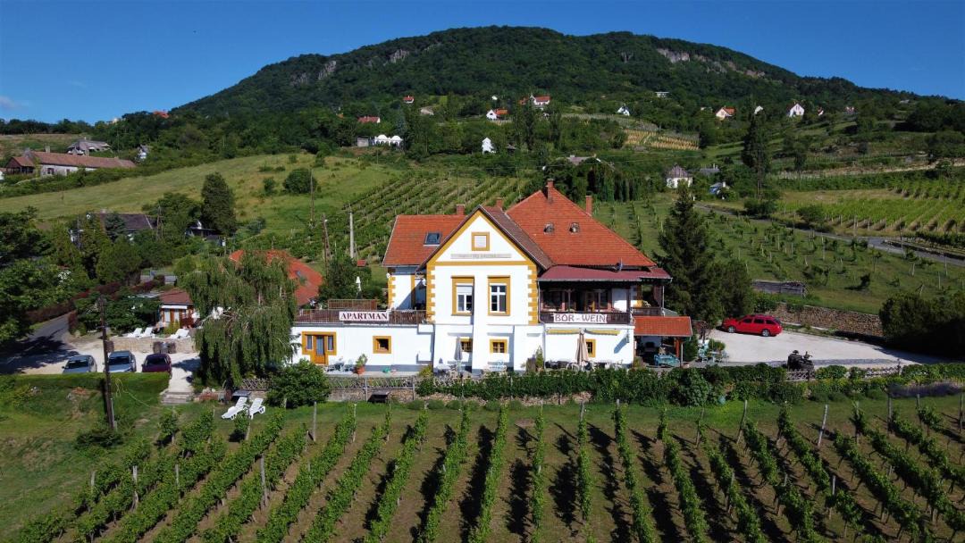 Photo of Buildings in Badacsony