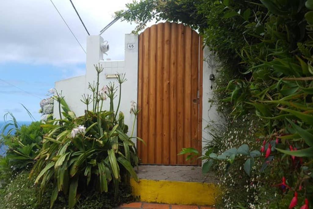 Photo of Buildings in Ponta Delgada