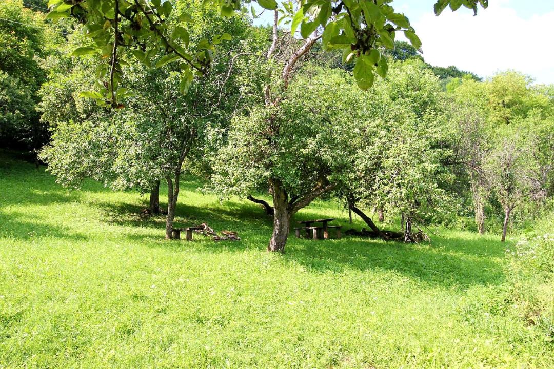 Photo of Outdoor in Josvafo