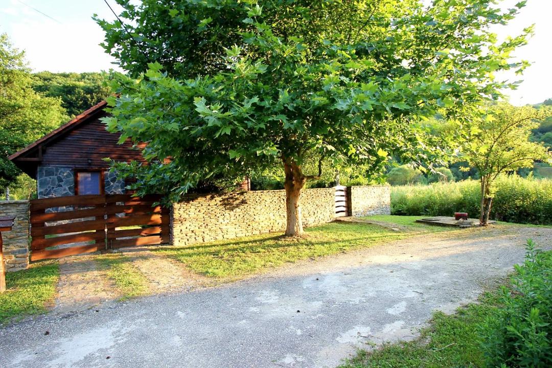 Photo of Others in Josvafo