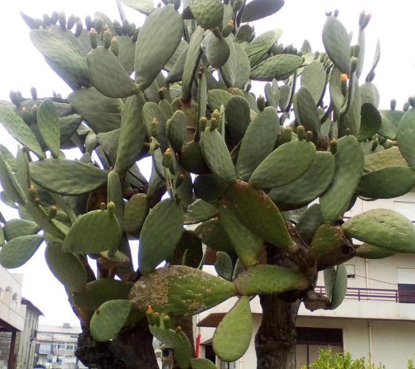 Photo of Others in Medelo