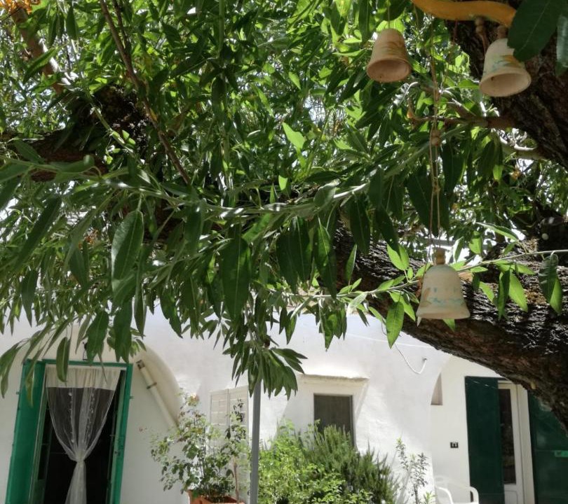 Photo of Others in Martina Franca