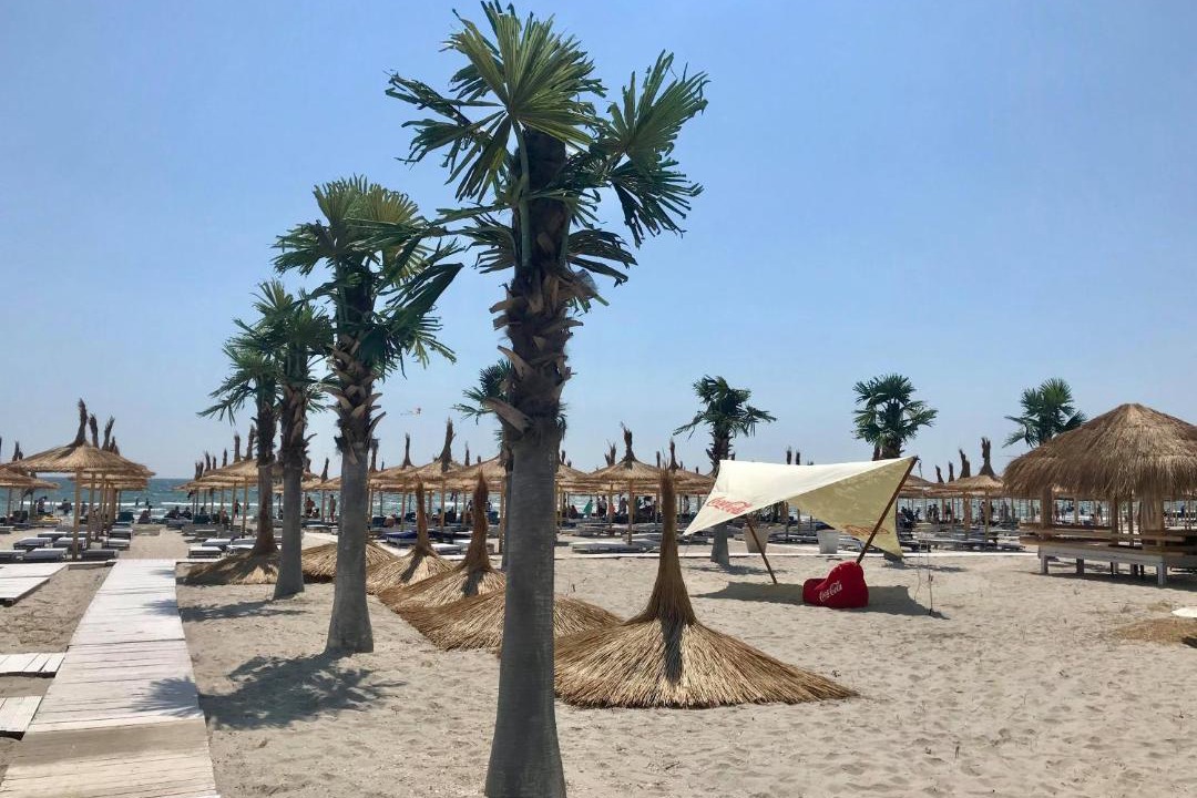 Photo of Others in Mamaia-Sat