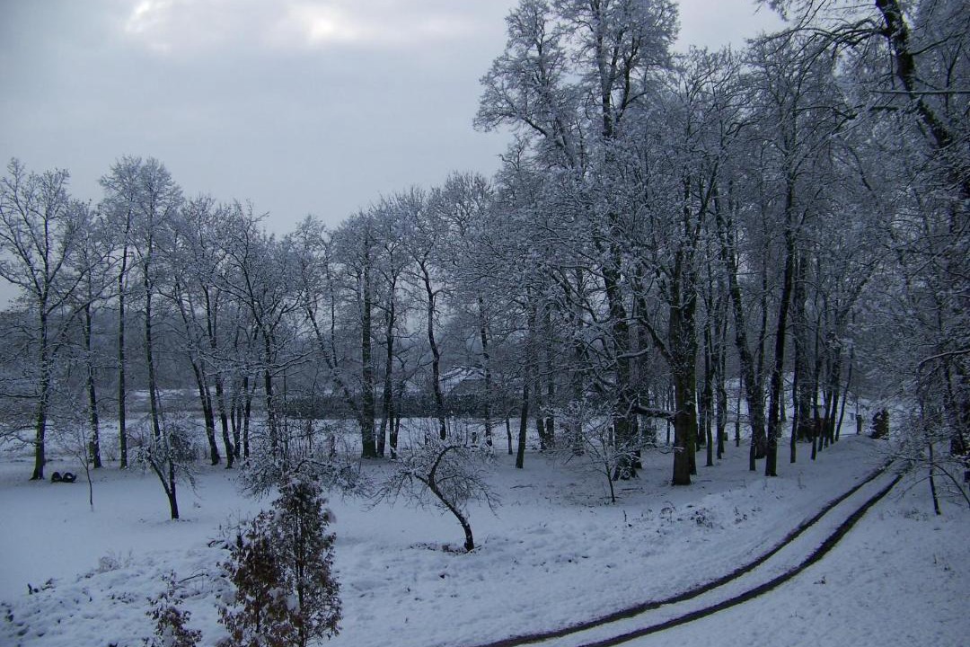 Photo of Others in Myslakowice