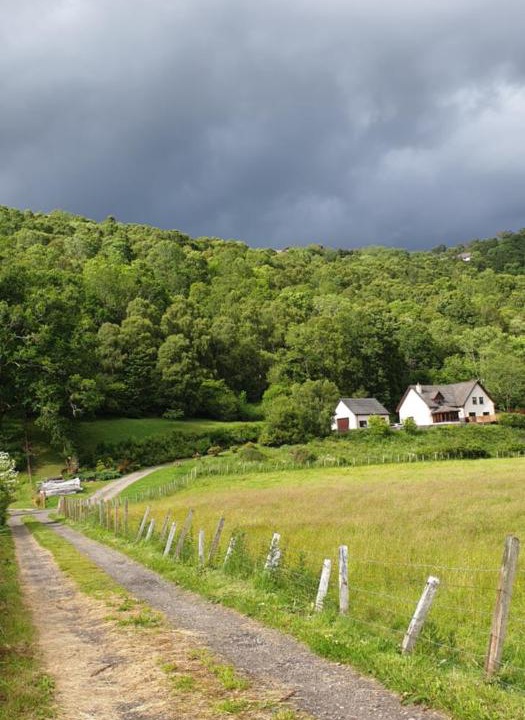 Photo of Outdoor in East Lewiston