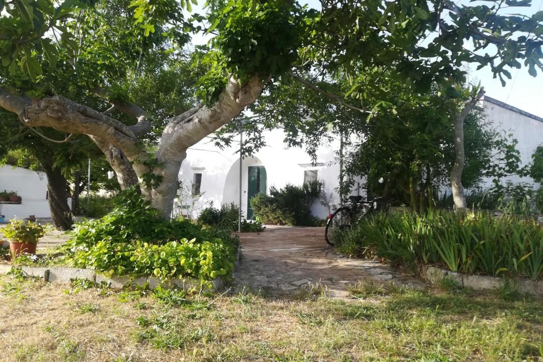 Photo of Others in Martina Franca